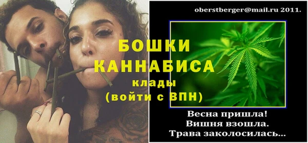 ГАЛЛЮЦИНОГЕННЫЕ ГРИБЫ Верея